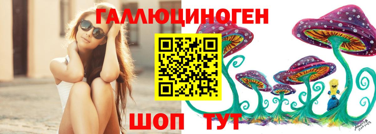 Касимов  Псилоцибиновые грибы Psilocybe  Вход с VPN 